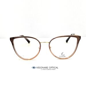 Montura En Metal y TR 90